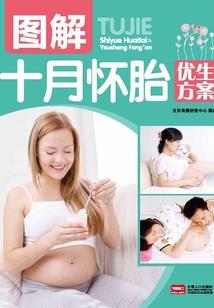 龙珠游记