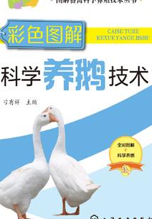苍寒天尊