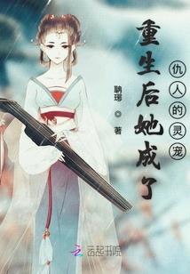 斗转星岚