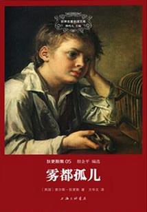 特案顾问