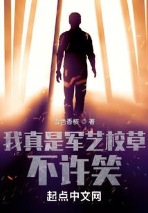 画魂玄师