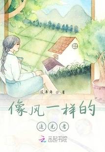 砖家老李