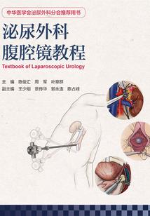 元宇宙之时间王者