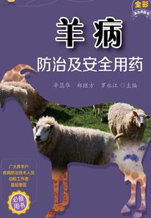 大神在民间