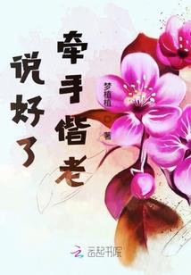 龙图传