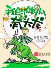 浪漫的故事