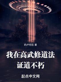 极品佳婿