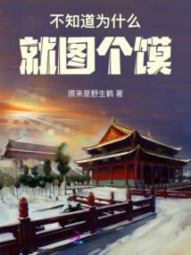 王者荣耀之旌旗再临