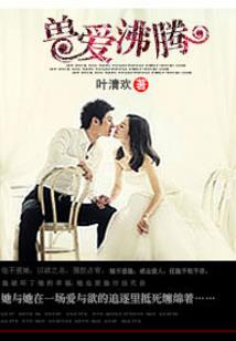 杉木无晴也无雨