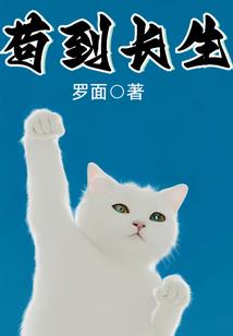 陪伴你，夕阳西下