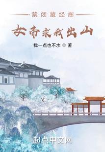 道武极限录