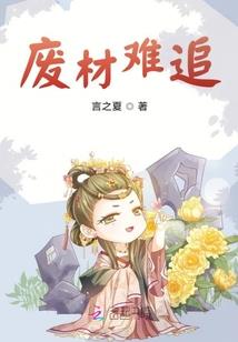 妻不如妾之腹黑王爷无良女