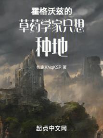 倾城宫略
