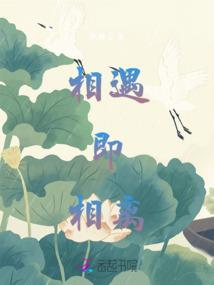 穿越之错配灵魂