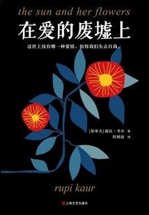 冰月的坎坷之恋