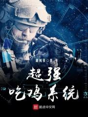 契泓的各种回档大法
