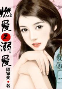 陪着异世界阿赖耶修复人理
