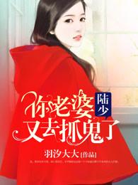 平平无奇小兽医