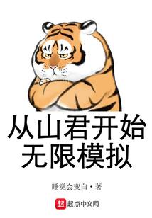 神奇宝贝对战