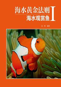 剑平苍穹