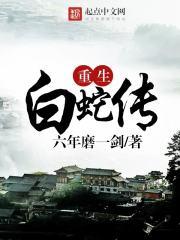 LOL开始的辉煌人生