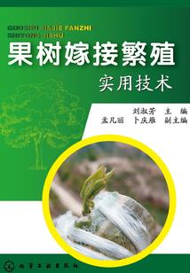 魔法学院：黑羽魔翼