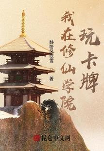 纵横魔导术师
