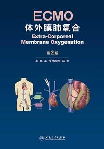 有限的轮回,无限的爱恋