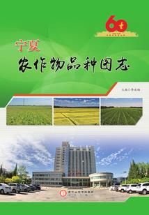 征途：年少轻狂