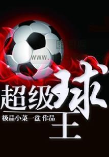 卡波菲尔
