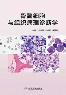 见你如昨