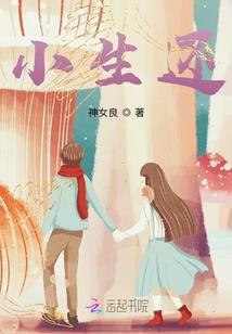 遇见你在我最美的年纪