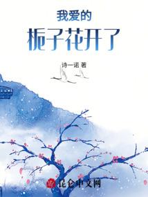 柠檬半糖琉璃心