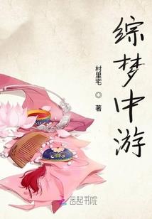 景意浅浅澜