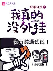 剑戟奇情录