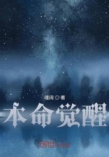 鼎中仙