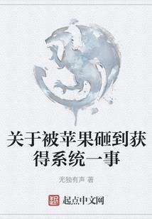 圣宗的快乐旅途