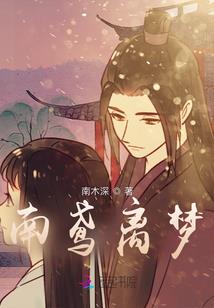 猫系淑女