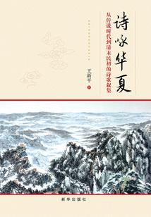 满级悟性：剑冢思过十年，出关陆地剑仙