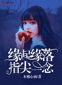无限轮回风暴