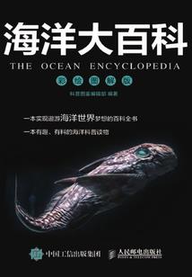 秘城巫事
