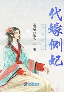 瑾岚传