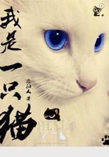 陈翔六点半之无尽穿越