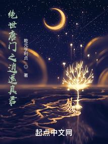 美人姬