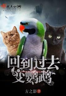养“帝”为妃
