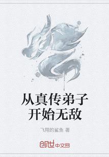 风之忆