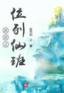 小白痴的柏拉图