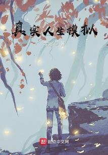 双蝶泪史