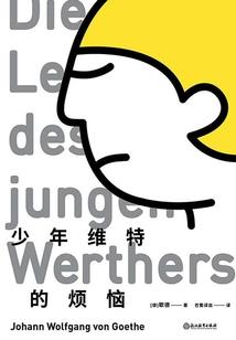 冷面总裁强宠妻