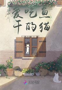 你走一生我等一世